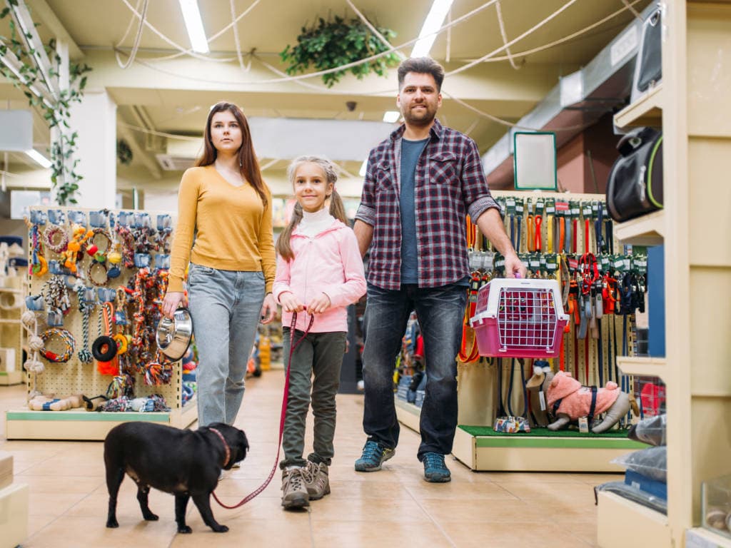 Galeria Pet 1