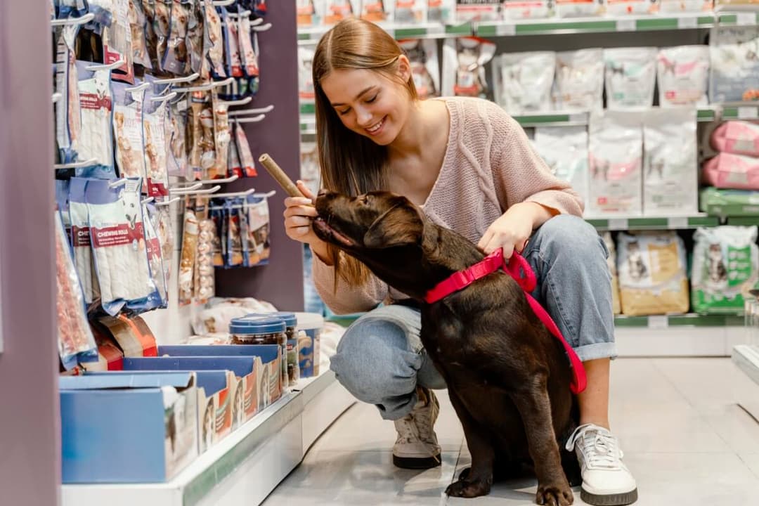 Galeria Pet 2
